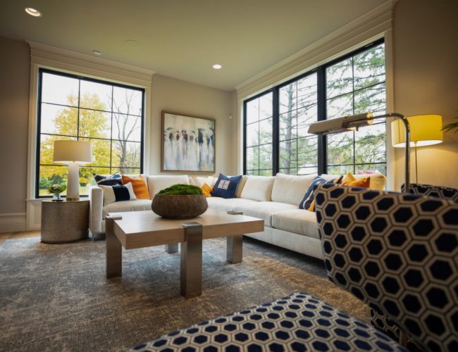 Cozy modern living room